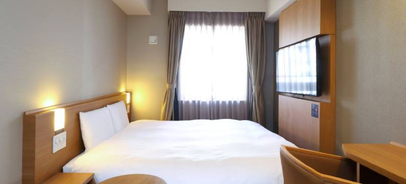 东京八丁堀多美迎天然温泉酒店(多美迎・御宿野乃 酒店集团)(Dormy Inn Tokyo Hatchobori Natural Hot Spring)图片