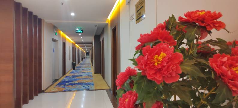 金江酒店(台山站水步店)图片