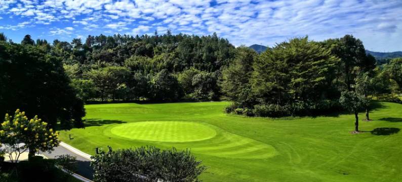 广州从都国际庄园图片