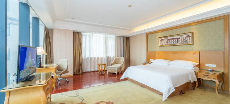 维也纳酒店(广州白云机场钟落潭竹料地铁站店)图片