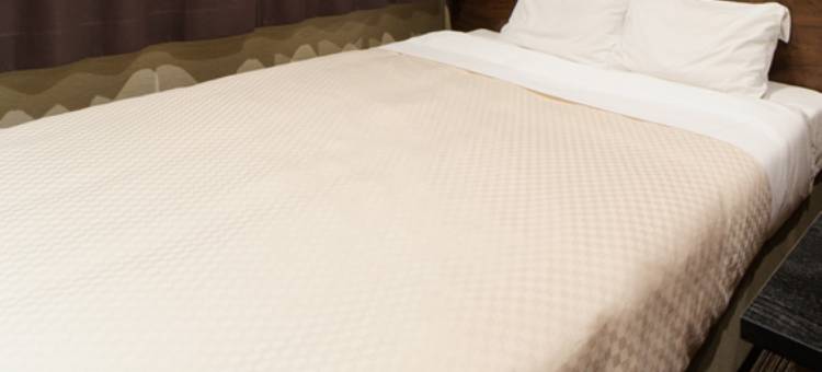 大阪富士屋饭店(Osaka Fujiya Hotel)图片