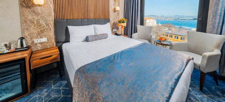 博斯普鲁斯环石酒店(Ring Stone Hotels Bosphorus - Special Class)图片