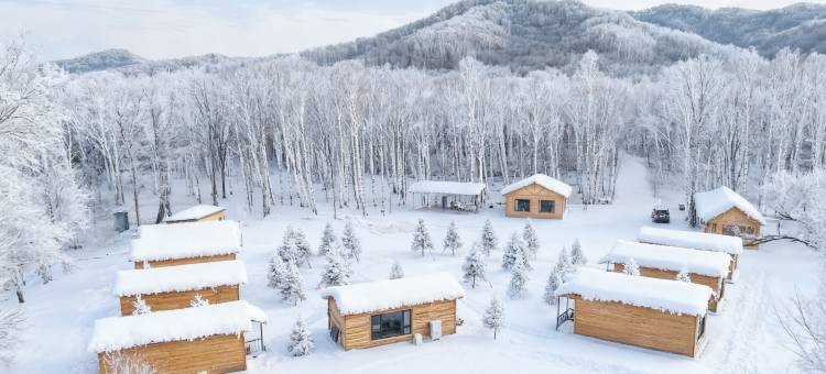 無所居•林图片