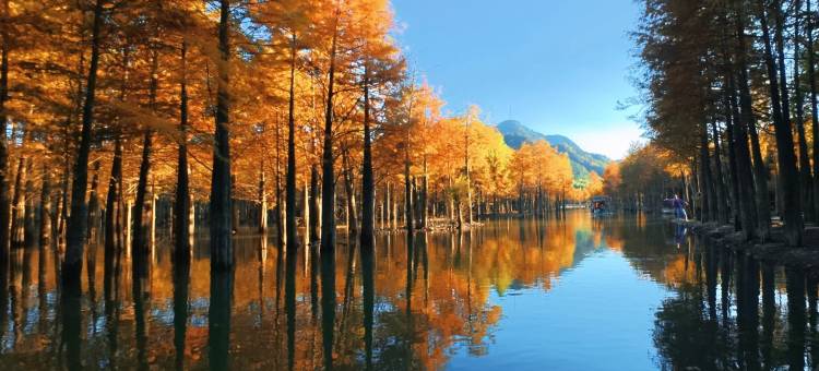 栖云·宋韵院墅民宿(宁国皖南川藏线店)图片