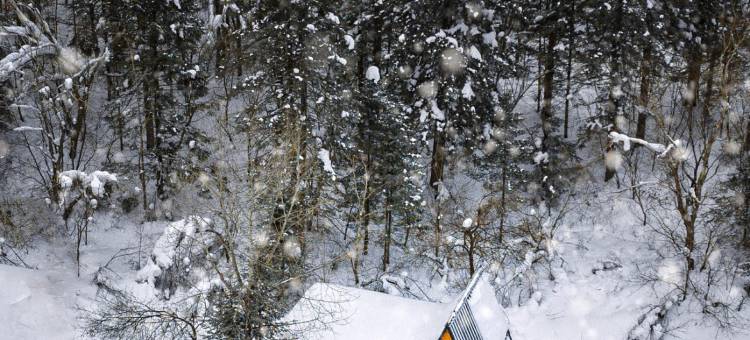 澜舍 Serene Haven 套房酒店(长白山美人松雕塑公园店)图片