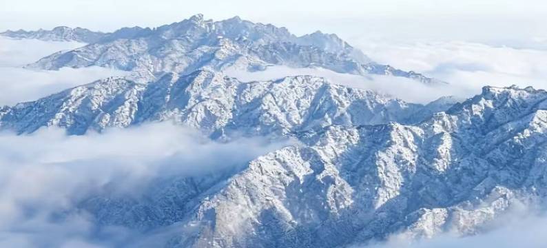 阅山郡・遇见山野｜设计师奢享观景度假美宿(老君山中灵索道店)图片