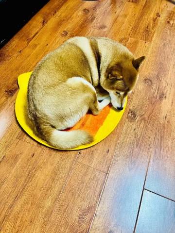 聚驿来酒店(佛山三水广场店)图片