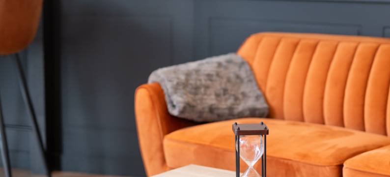 宜必思里昂卡略尔国际中心酒店(ibis Lyon Caluire Cité Internationale)图片