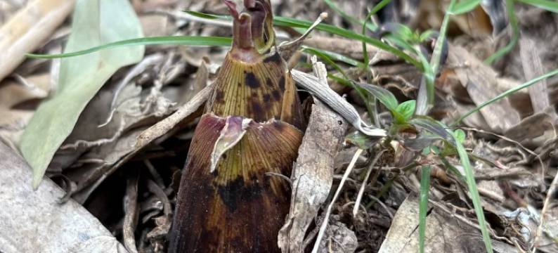 秋兮·aki星空温泉民宿(安吉云上草原店)图片
