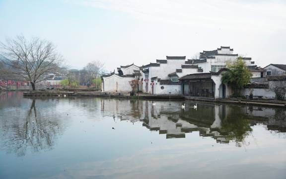 黄山澍德堂图片
