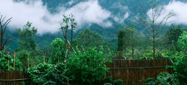 罗浮溪舍民宿图片