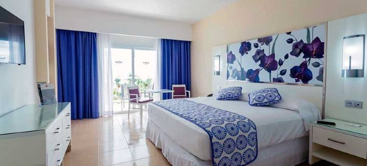 普拉亚卡尔悦宜湾酒店-全包(Riu Playacar - All Inclusive)图片