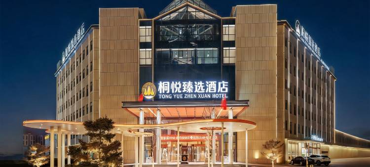 桐悦臻选酒店图片