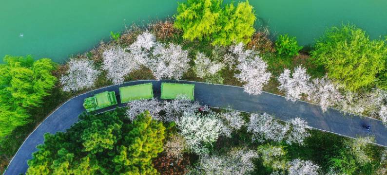 池州平天半岛大酒店图片