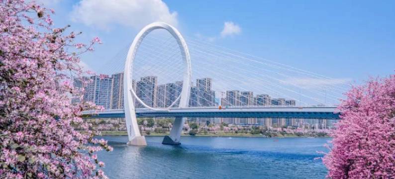 柳州美拓·臻丽酒店(东堤码头窑埠古镇店)图片