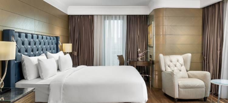 伊斯坦布尔希什利丽笙酒店(Radisson Blu Hotel, Istanbul Sisli)图片