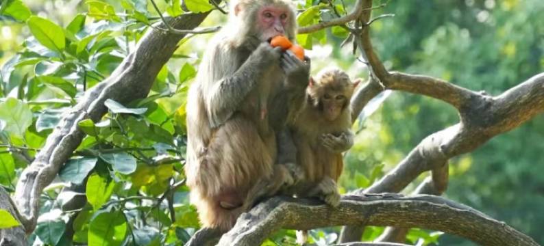 桂林两江四湖月牙伴山度假民宿图片