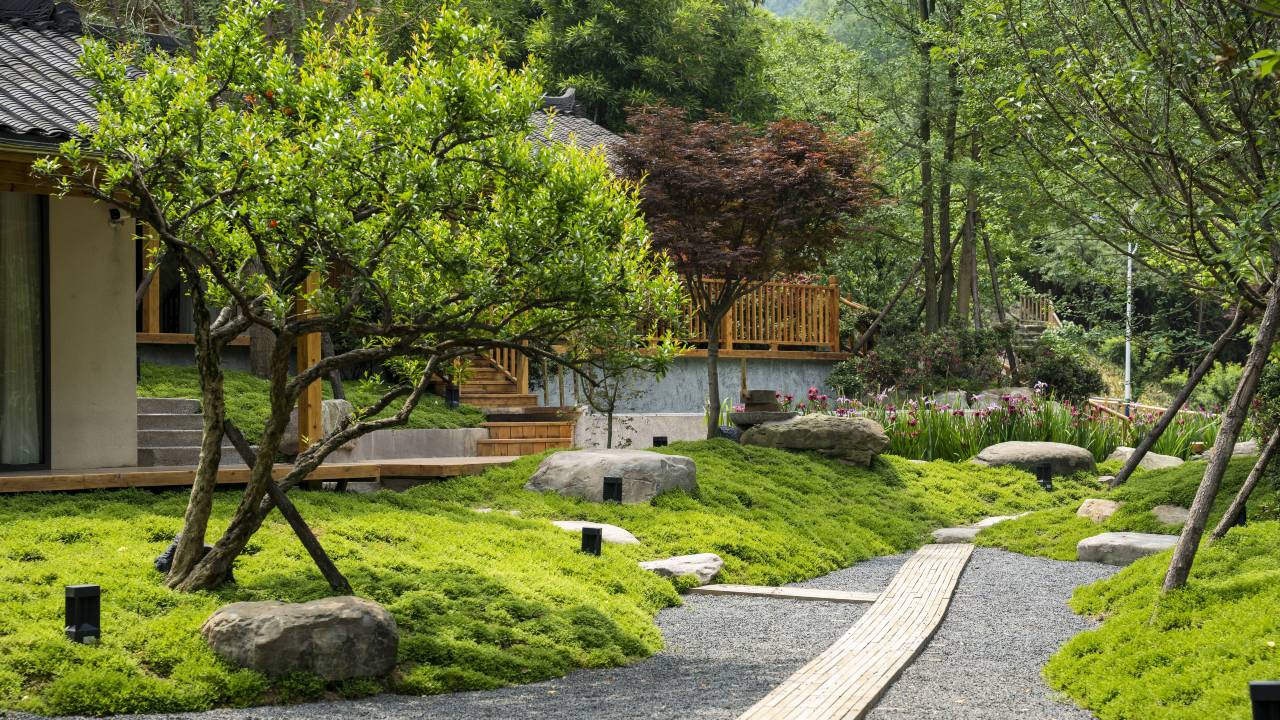 峨眉山荷叶溪谷·Luxe轻奢旅享私汤度假隐舍(熊猫飞拉达店)图片