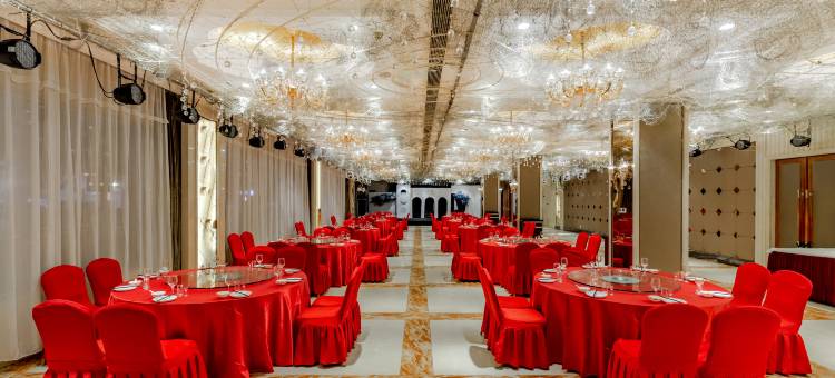 白金汉宫大酒店(阜阳二里井夜市万达广场店)图片