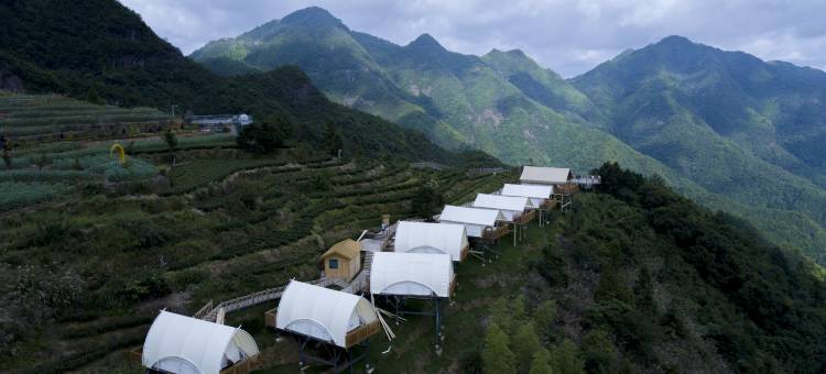 政和县稠岭明月松间露营地图片