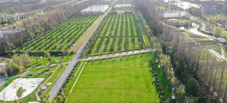 上海前小桔之家图片