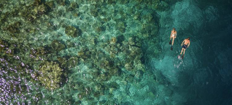 马尔代夫NH哈沃达度假村(NH Collection Maldives Havodda Resort)图片