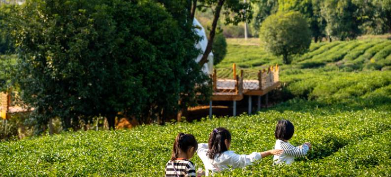 仙鹤湖·鹤鸣山居民宿(贺胜桥东站店)图片