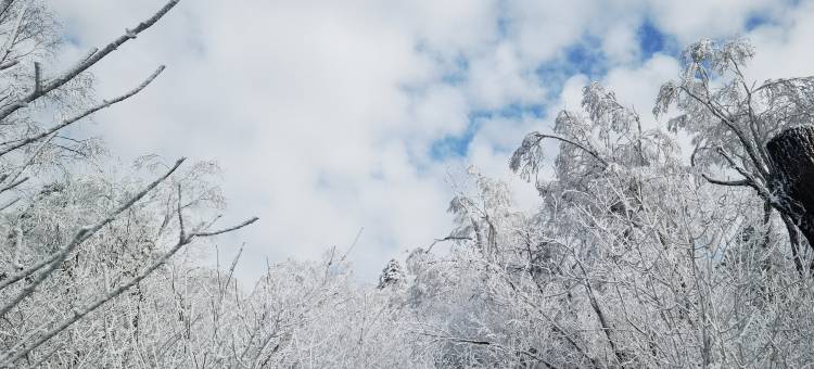 雪乡永安大院图片