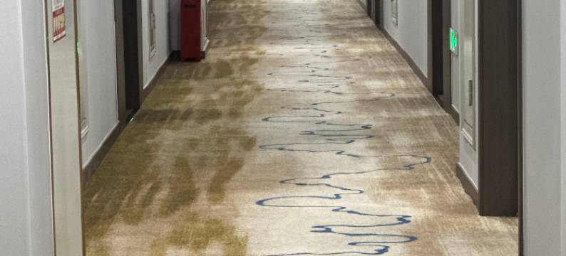 澜亭酒店(泊头第四中学市医院店)图片