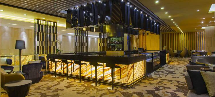 梅江中心皇冠假日酒店(天津梅江会展国展中心店)图片