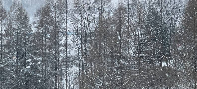 长白山云水之间逸居民宿图片