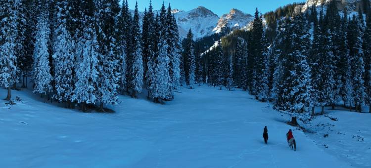 温泉赛里木湖水云杉野奢酒店图片