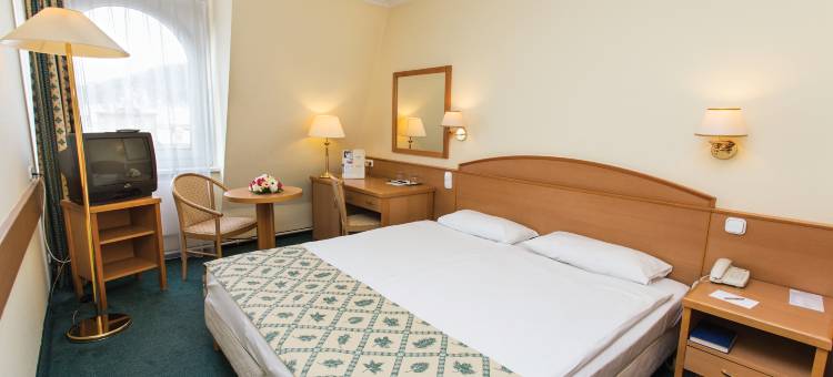 多瑙比斯-伊萨贝特市中心酒店(Danubius Hotel Erzsébet City Center)图片