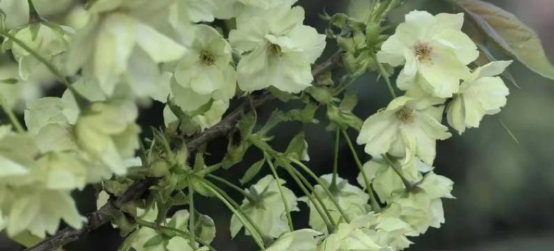 马鞍山南湖宾馆图片