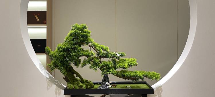望仙故里 | 精品名宿(望仙谷景区店)图片