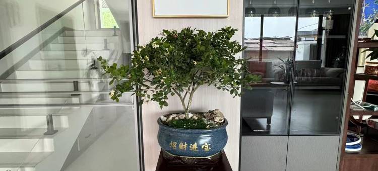 林州市山境拾光民宿(太行风情店)图片