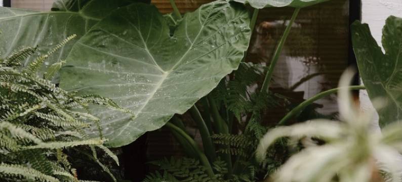 雅上隐庭花园酒店(乐山高铁站世豪广场店)图片