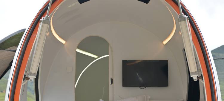 王岗坪脱壳龟生态营地图片