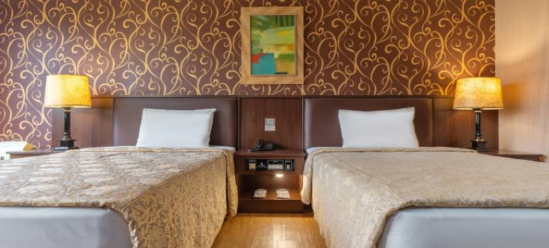 承携行旅台中公益馆(汉弥敦)图片