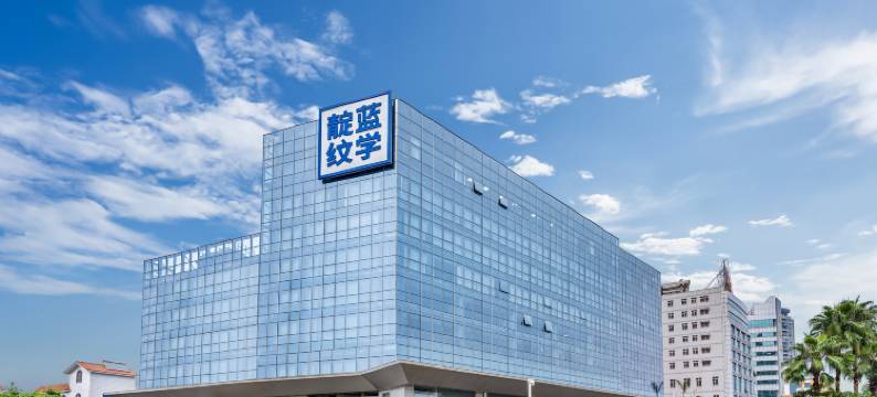 靛蓝纹学酒店(西樵山广东千古情店)图片