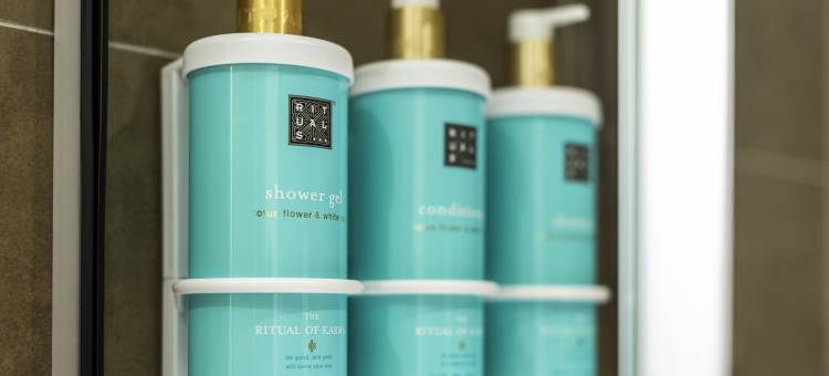 奥尔良拉索斯诺富特酒店 - 乡间别墅(Novotel Orleans Chemins de Sologne Demeures de Campagne)图片