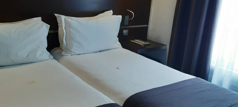 巴黎卢米埃尔蒙马特酒店(Hôtel Lumières Montmartre Paris)图片