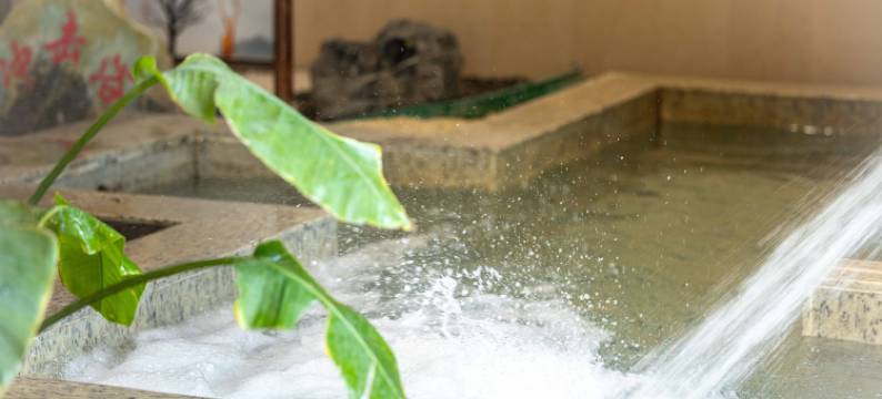 九龙口涵田温泉度假酒店图片