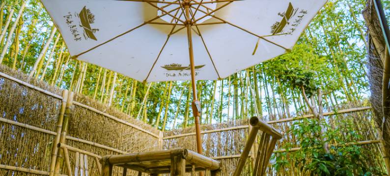 云隐小院民宿图片