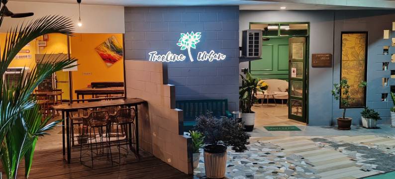 树线城市旅馆(Treeline Urban Inn)图片
