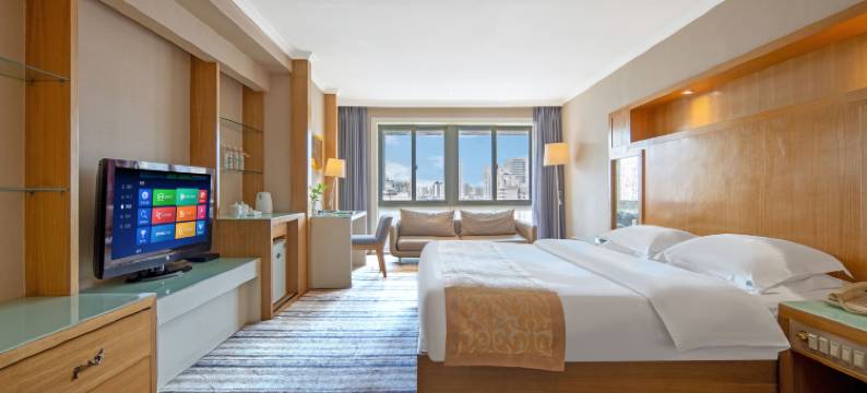 洛阳新天鹅国际大酒店(丹尼斯大卫天地解放路地铁站店)图片