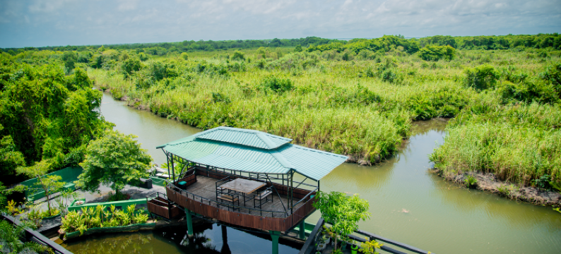 Grand Palace Hotel, Seeduwa图片