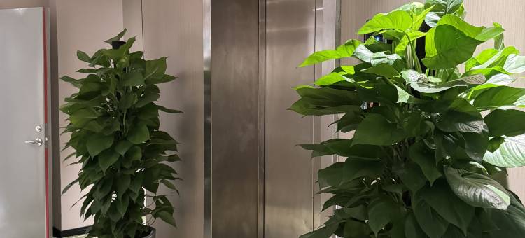 格林豪泰智选酒店(太原火车站店)图片