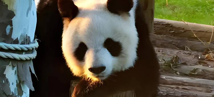 荣成高铁站丽呈漫湖酒店图片