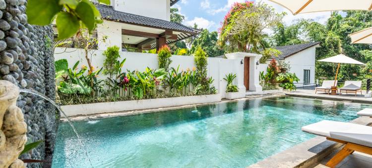 Sacred Jungle by EVDEkimi – Modern Villas and Apartments with Kitchens, Pools图片